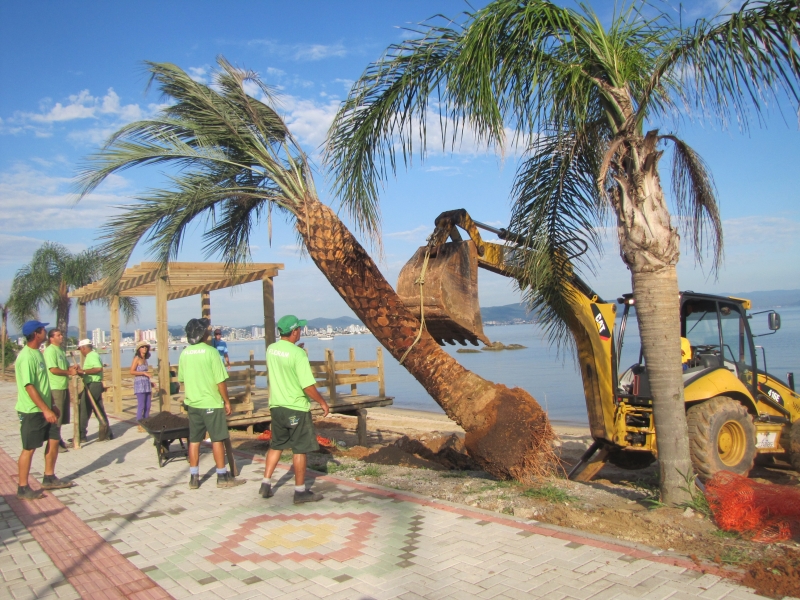 Obras de revitalização paisagística da Beira Mar em ritmo acelerado
