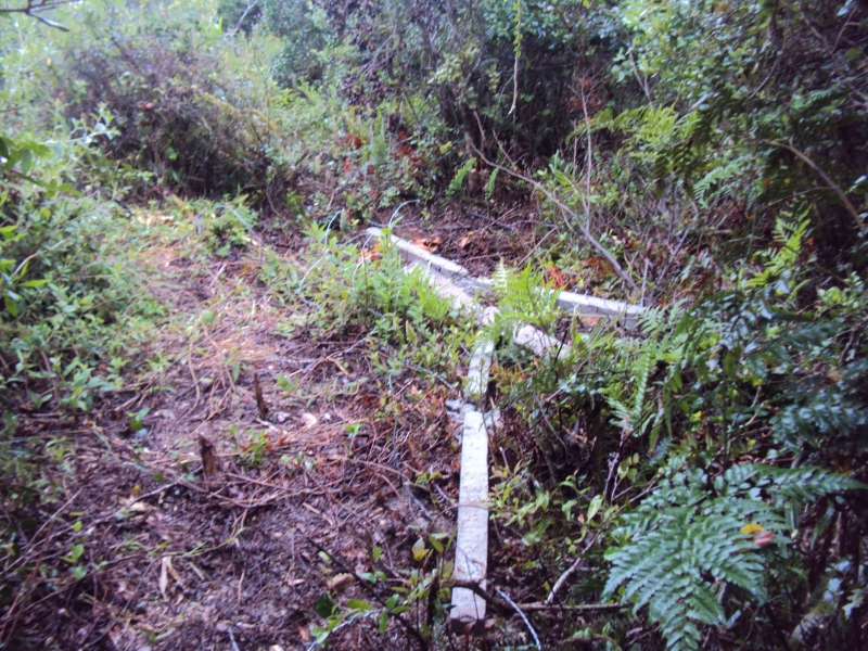 DEFIS retira cerca em Área de Preservação Permanente no Rio Tavares