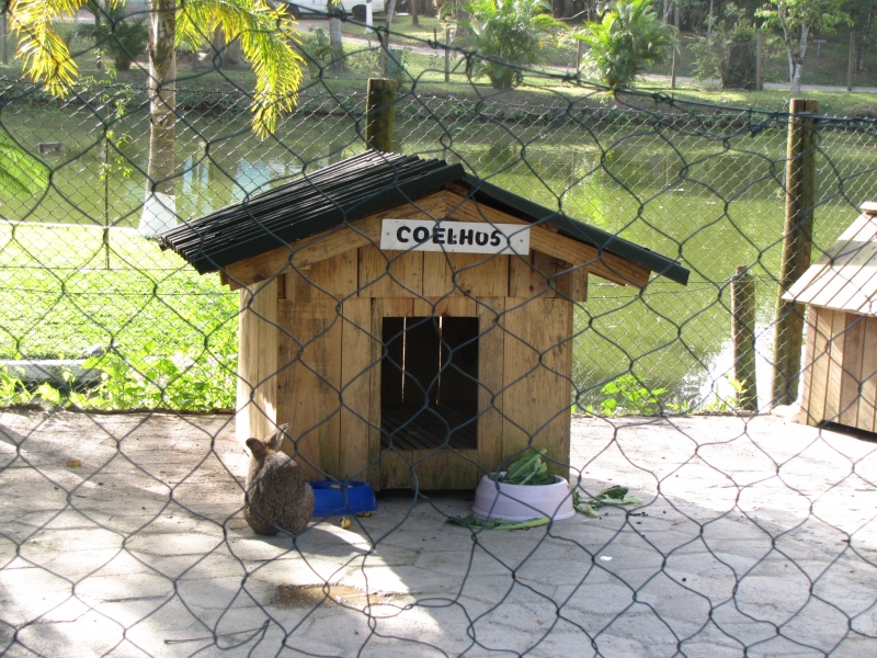 Alimentação é controlada no parque ecológico