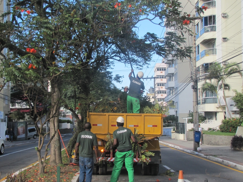 Floram faz poda de árvores na avenida Mauro Ramos