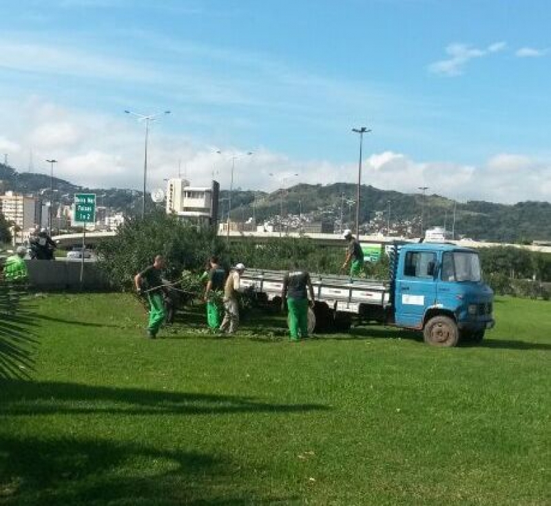 Poda sazonal na cabeceira da ponte Pedro Ivo