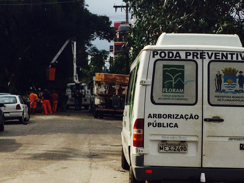 Floram executa poda em bairro do Continente