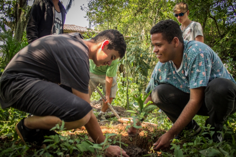 Alunos realizam plantio de mudas do projeto 50 Árvores Nativas