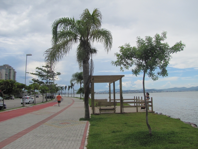 Saiba como a FLORAM escolhe as plantas para vias públicas