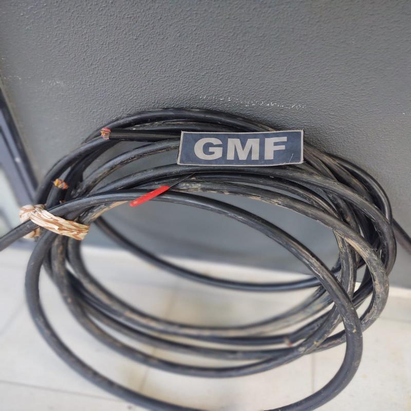Guarda Municipal prende homem por furto de fios no Pantanal
