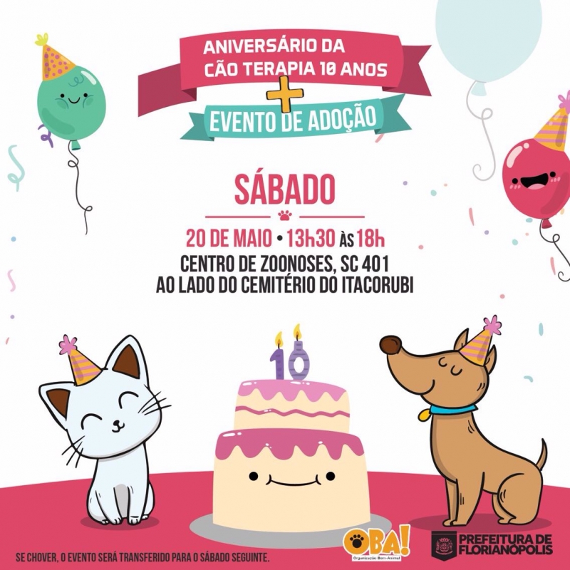 Adote um patudo: Aniversário da Cão Terapia terá evento no sábado