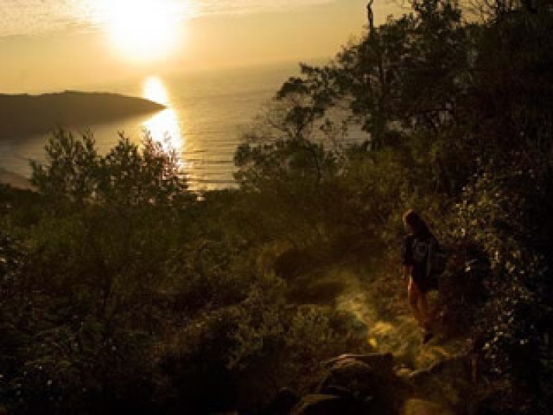 Floram atua na fiscalização diária no ano da biodiversidade  
