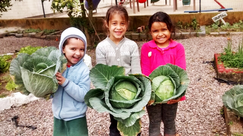 Crianças cultivam horta orgânica no Ribeirão 