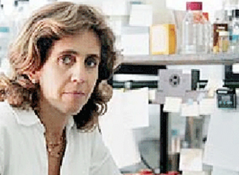 Entrevista com Lygia da Veiga Pereira sobre células-tronco 