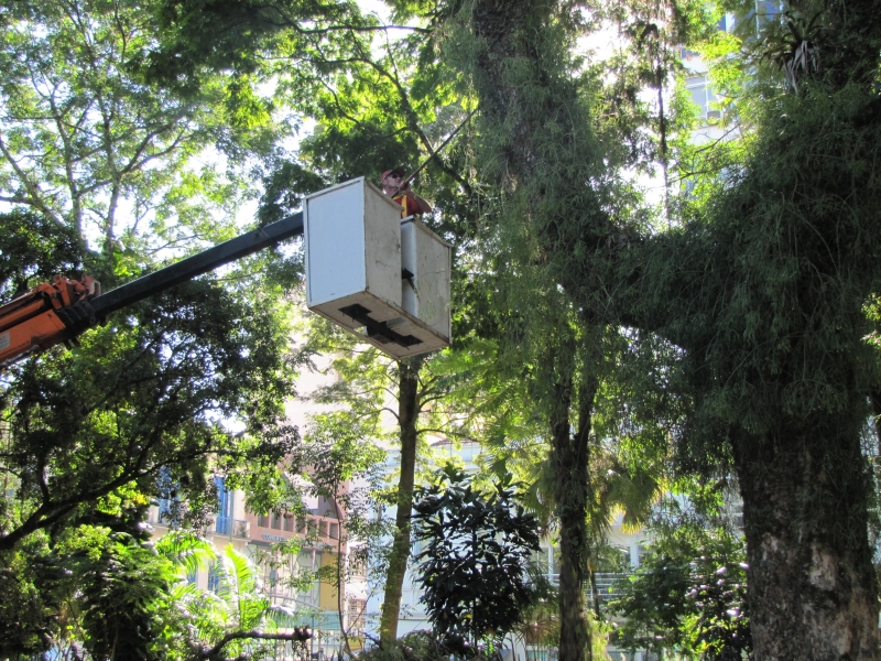 Floram realiza ação de limpeza na Praça XV