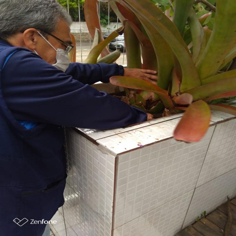 PMF realiza mutirão de combate à dengue em Canasvieiras