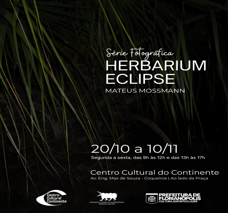 Exposição “Herbarium Eclipse”, de Mateus Mossmann, revela novas formas de ver a natureza urbana