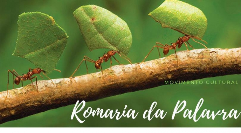 Romaria da Palavra vai levar cultura para as ruas de Florianópolis