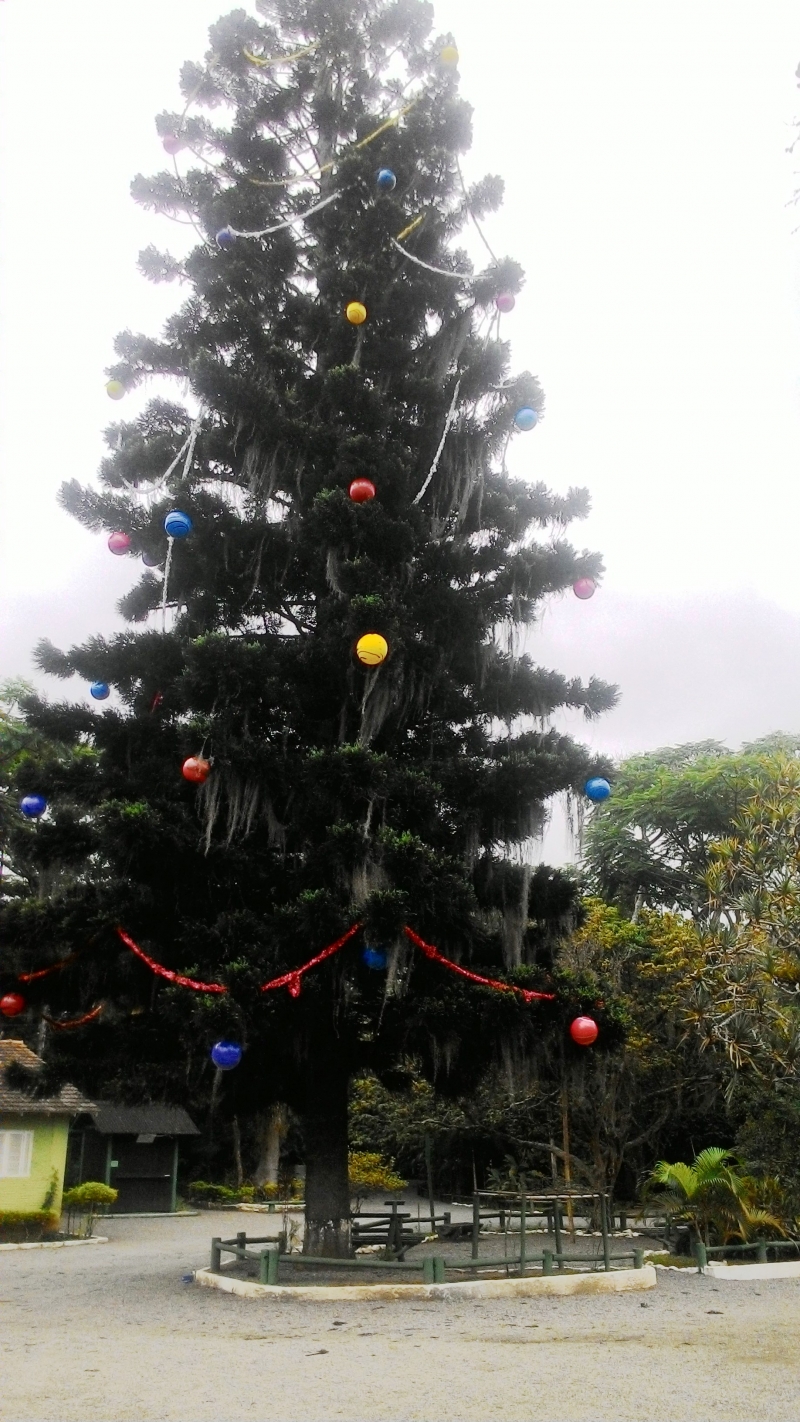 Clima natalino no Parque Córrego Grande