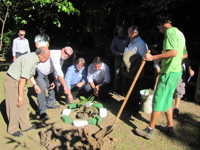 Floram cede espaço para plantio em comemoração ao aniversário da cidade