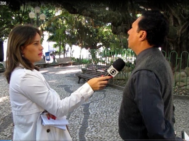 Figueira da Praça XV está saudável aos 142 anos