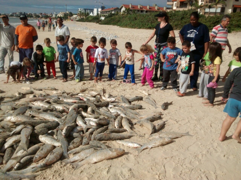 Crianças se divertem participando da pesca da Tainha no bairro Ingleses