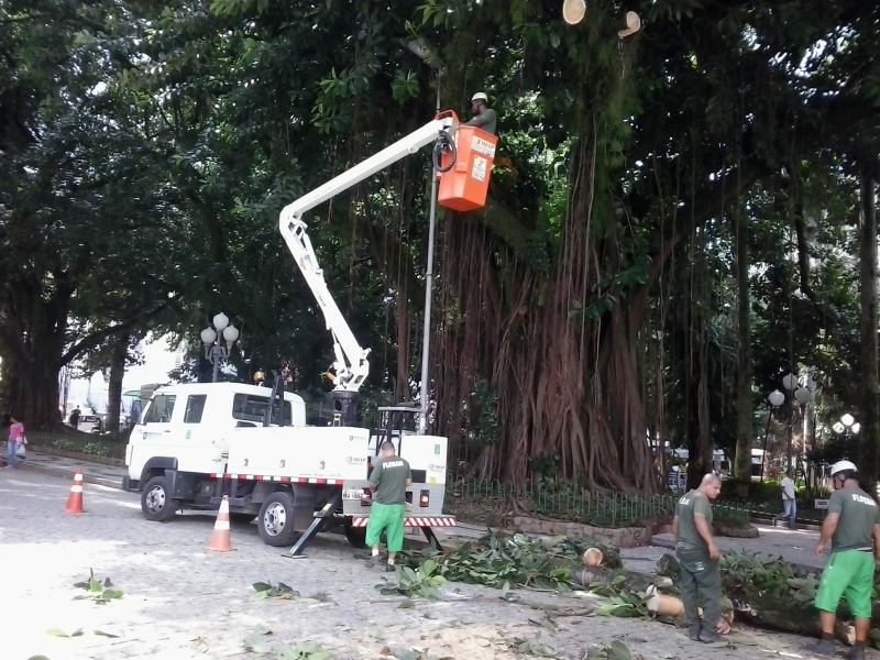 Floram fará podas no Centro aos domingos