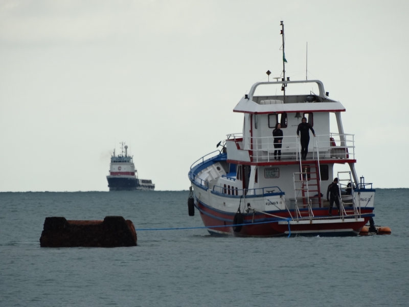 Boia da Petrobras é resgatada no Norte da Ilha