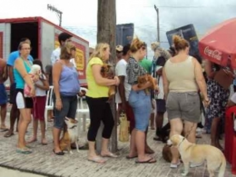 Cobea realiza mutirão na Barra da Lagoa