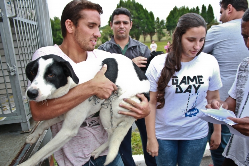 Veterinários do município são referência na UFSC