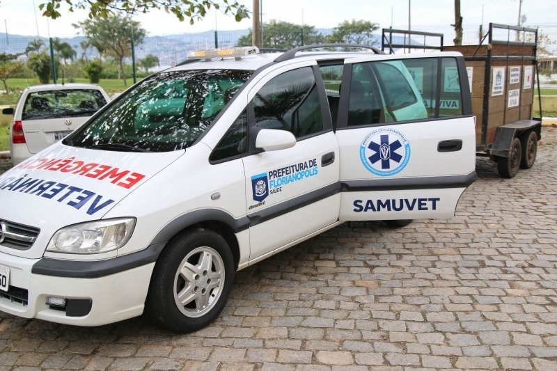 SamuVet presta socorro a 78 animais em 90 dias