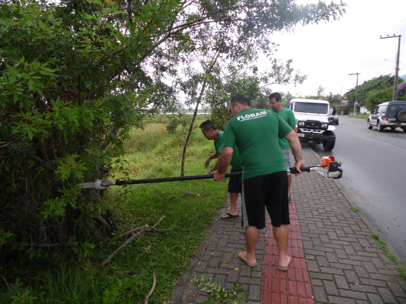 Equipe da Floram faz poda na Lagoa da Chica