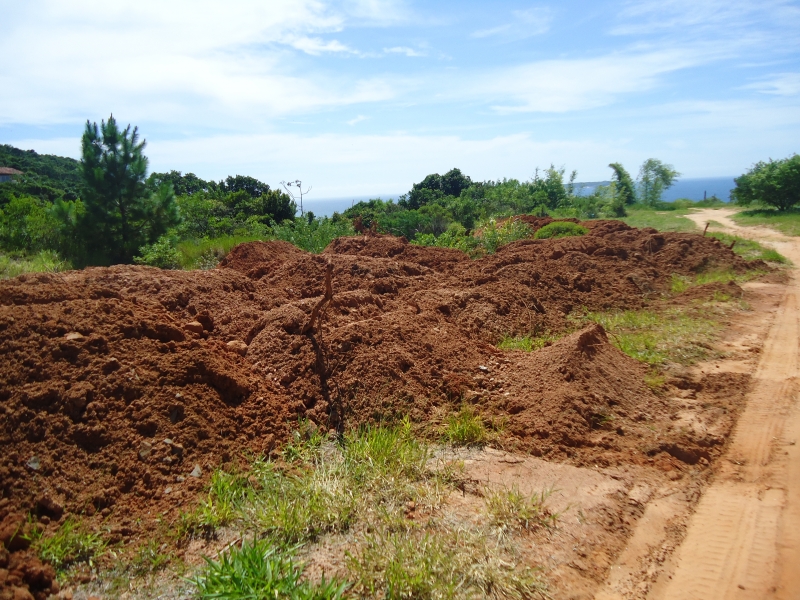 Entenda o que é uma infração ambiental
