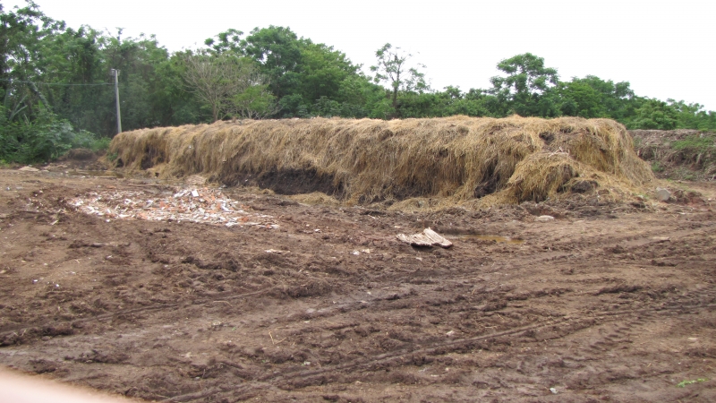 Floram recomeça Curso de Capacitação Ambiental