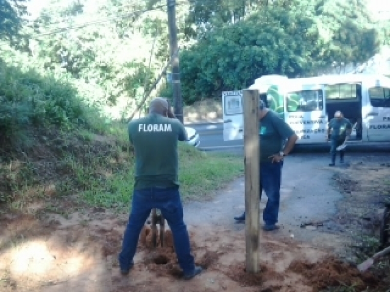 Floram desmonta estacionamento irregular