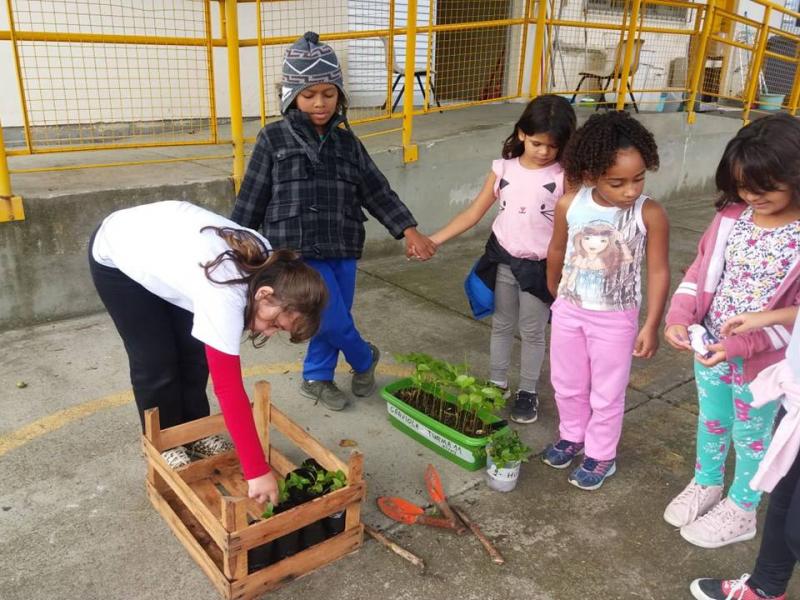 Alfabetização com sementes na Escola Antônio Paschoal