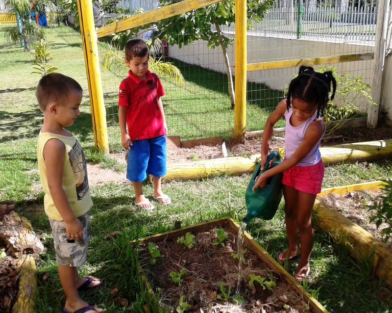 NEI no Saco Grande ensina compostagem e cultivo