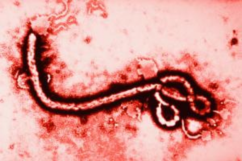 Vigilância divulga terceiro boletim sobre o Ebola
