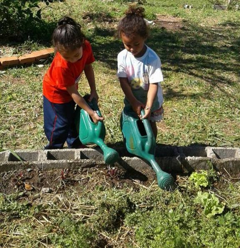 Creche reduz impressão de papel, planta árvores e cultiva horta
