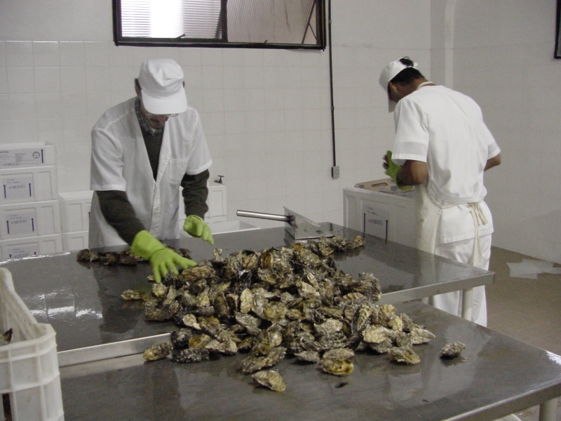 Prefeitura promove coleta de resíduos da maricultura 