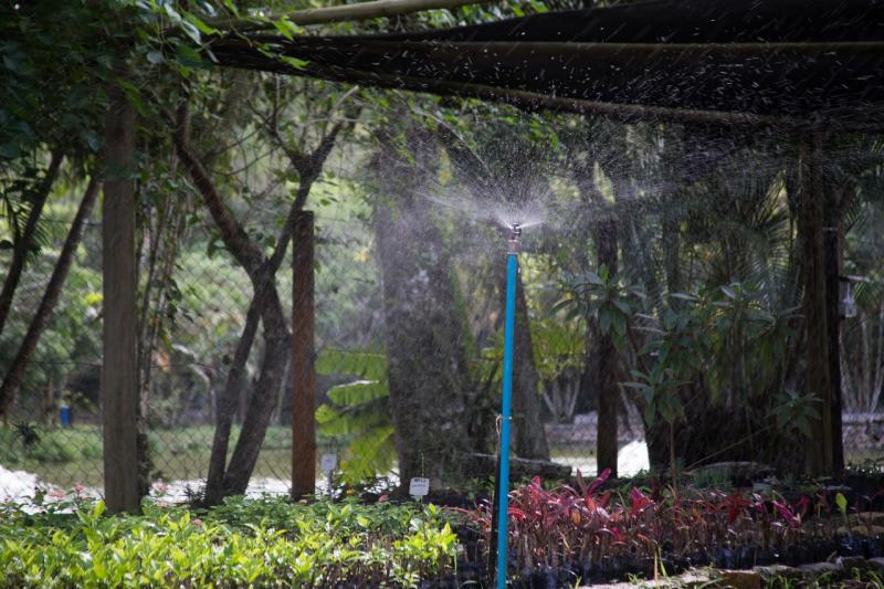 FLORAM promove curso: “Agricultura Urbana e Promoção da Saúde
