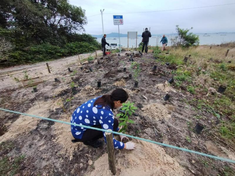 Prefeitura de Florianópolis recupera área degradada de restinga com plantio de 122 mudas