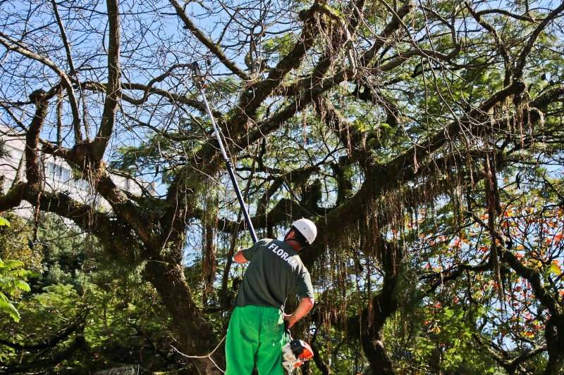 Floram dá geral no verde da praça Olívio Amorim