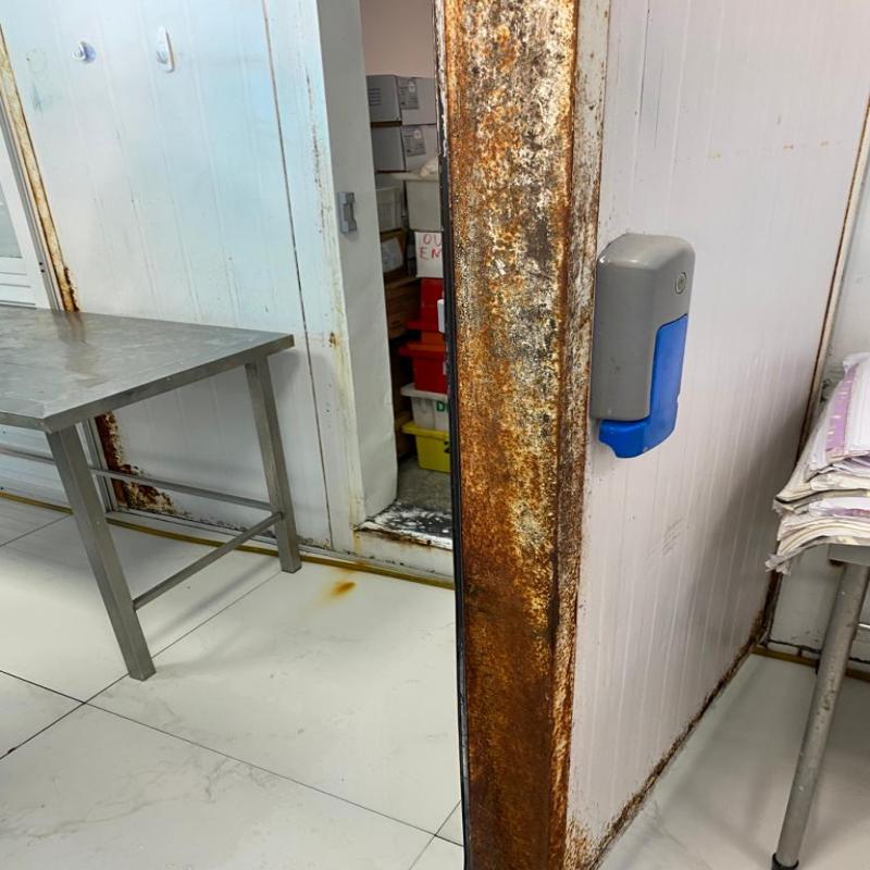 Fiscalização apreende pescado sem comprovação de procedência em peixaria do continente 