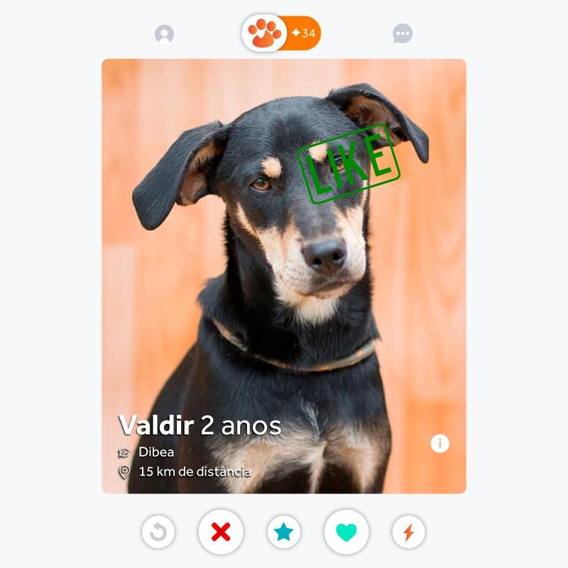 Terceiro episódio do podcast Sextou com a Prefa fala sobre a plataforma digital de adoção 