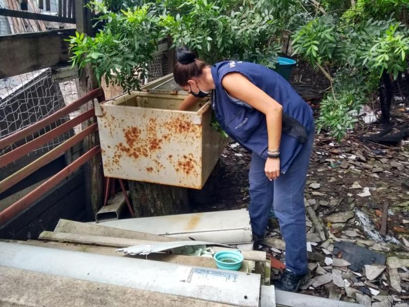 PMF atua contra a dengue e encontra 238 focos do mosquito em 2022