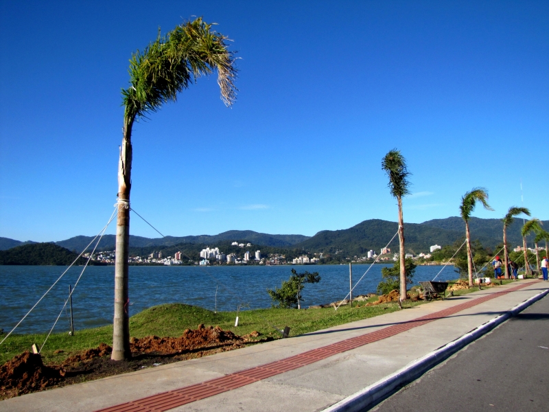 Inicia plantio de mudas na Beira Mar Norte