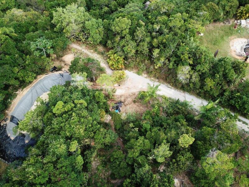 Prefeitura combate supressão de vegetação dentro de Unidade de Conservação, na Galheta