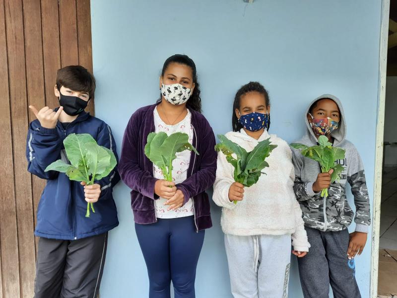 Crianças do Centro de Convivência da PMF colhem salada para almoço 
