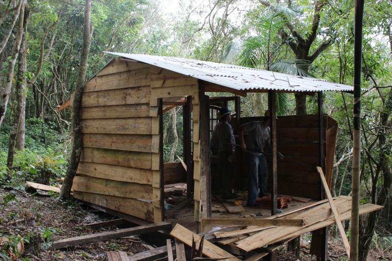 Floram retira casas irregulares no Sul da Ilha