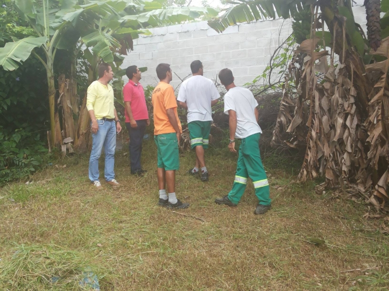 Bosque Pedro de Medeiros passa por limpeza geral