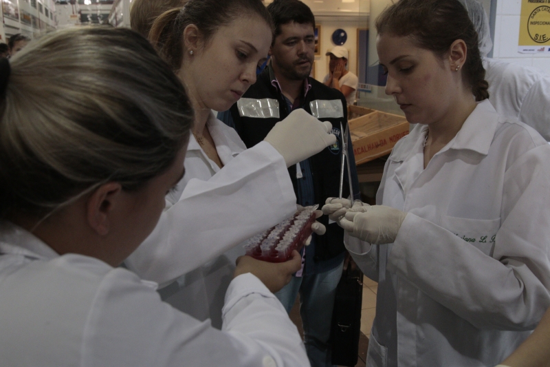 DNA do Pescado analisa amostras no Mercado