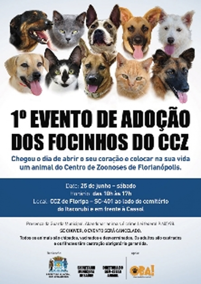 Sábado é dia de adotar um amigo