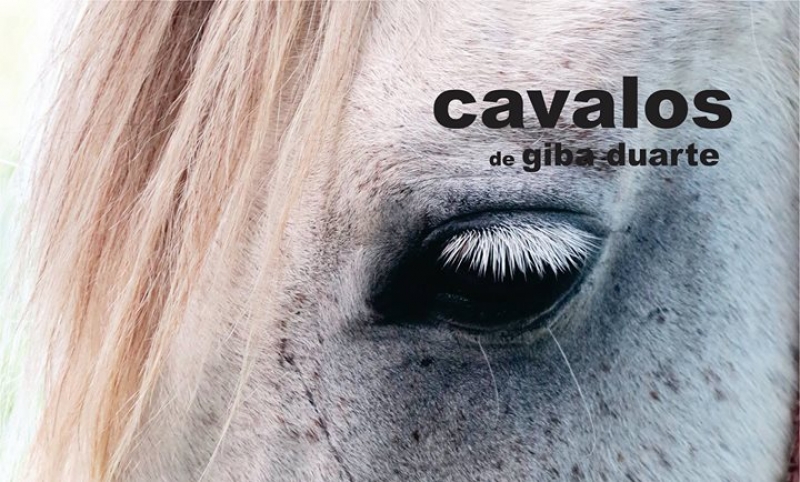Galeria Vechietti recebe a exposição 'Cavalos'