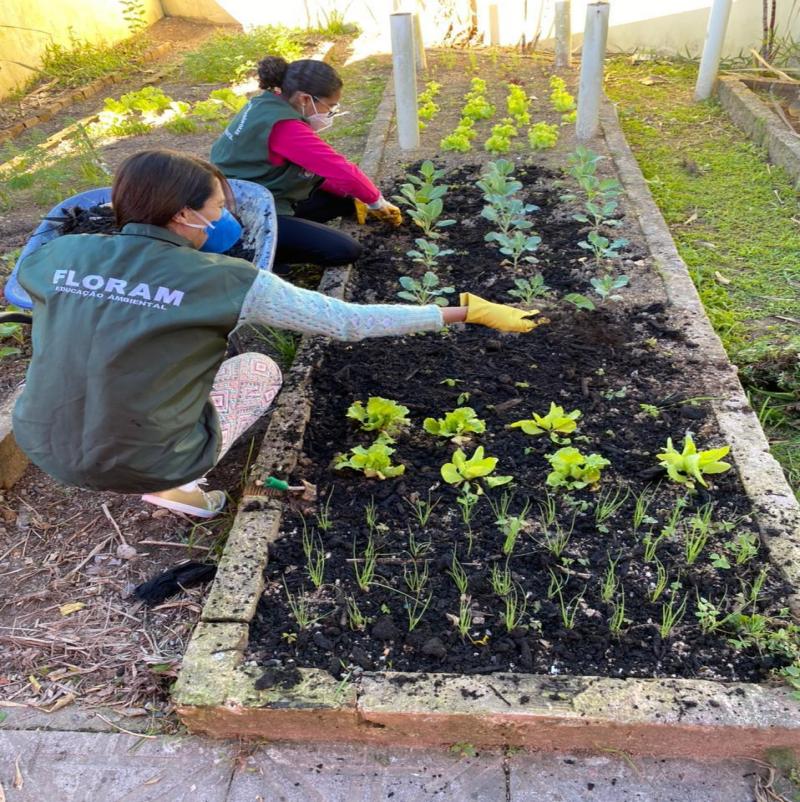 Prefeitura revitaliza mais duas hortas na capital por meio do Cultiva Floripa